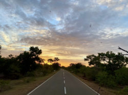 Dem Sonnenaufgang entgegen geht es Richtung Yala-Nationalpark.